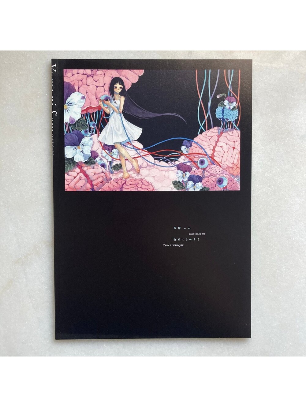 Wandering to Dream Em Nishizuka Photo Japanese Art Book Zine Anime Japan